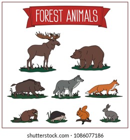 Set of isolated forest animals on white background: moose, brown bear, wild boar, wolf, fox, beaver, hedgehog, squirrel and hare.