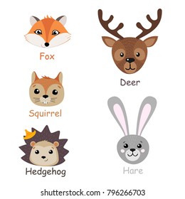 Set of isolated forest animals. Vector illustration.