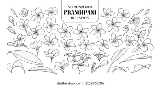 Conjunto de frangipani aislado en 35 estilos. Dibujo de vector de flores dibujado a mano en contorno negro y plano blanco en fondo blanco.