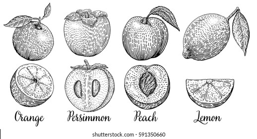set isolated fruit, lemon, tangerine, persimmon, peach, apricot
