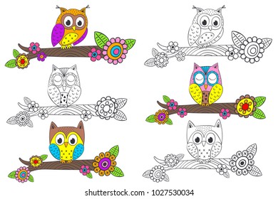 set of isolated funny owl on branch - vector illustration, eps

