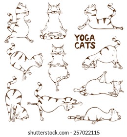 Set of isolated funny sketch cats icons doing yoga position