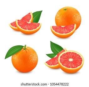 Set of isolated grapefruits. Realistic citrus image. 3d vector