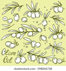 set of isolated graphic olive branches with fruit and oil drops
