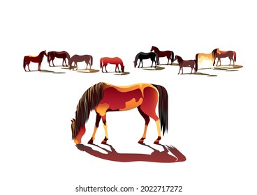 A set of isolated grazing horses of various configurations, colors and coloring.