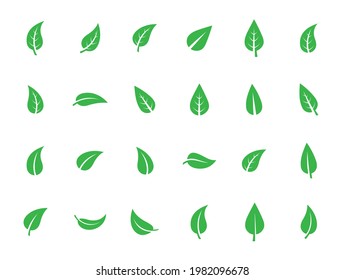Set of isolated green leaf icons on white background. Various forms of green leaves of trees and plants. Abstract natural leaf icons. Elements for ecotypes and biotypes. Vector illustration. EPS 10