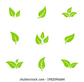 Set of isolated green leaf icons on white background. Various forms of green leaves of trees and plants. Abstract natural leaf icons. Elements for ecotypes and biotypes. Vector illustration. EPS 10