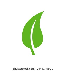 Conjunto de iconos de hojas verdes aisladas sobre fondo blanco. Abstractas iconos de hojas naturales. Elementos. Ilustración vectorial.