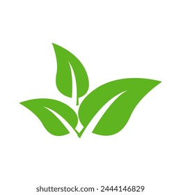 Conjunto de iconos de hojas verdes aisladas sobre fondo blanco. Abstractas iconos de hojas naturales. Elementos. Ilustración vectorial.