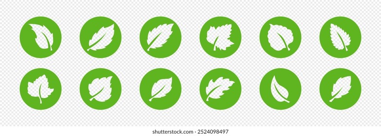 Set of isolated green leaf icons on white background. Abstract natural leaf icons. Elements. Vector illustration.