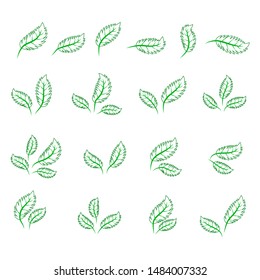 set of isolated green leaves icons on white background