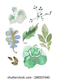 Set of isolated green leaves. Vectorized image with watercolor.
