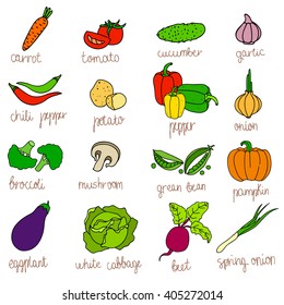 Set of isolated hand drawn diet icons fresh vegetables with text in cartoon style.Healthy food sketches for recipe book or vegetarian menu. Carrot, tomato, onion, cucumber and potato. Vector products