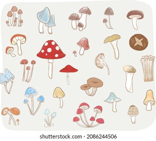 Set of isolated hand drawn different mushrooms in children pencil drawing style. Illustration for background, encyclopedia, kids book. Vector EPS 10