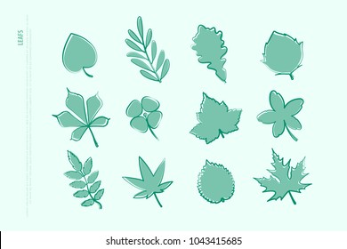 set of isolated hand drawn leaf icons. vector leaves logo collection. thin line contour, seasonal design elements. natural plant symbol