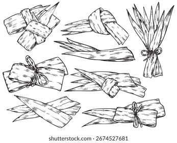 Conjunto de ilustración de dibujo de contorno de hojas de Pandan dibujadas a mano aisladas