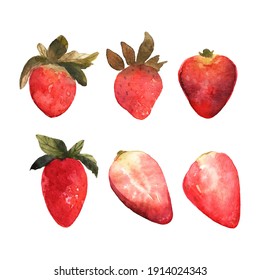 Set of isolated hand drawn red strawberry.  Illustrarion with berries and strawberry slices in watercolor. Vector summer illustration 