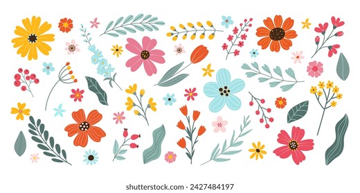 Set aislado dibujado a mano de flores de primavera y verano. Flores en flor, hojas, ramas, bayas, tulipán. Ilustración de hierbas de vector plano sobre fondo blanco