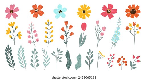 Set aislado dibujado a mano de flores de primavera y verano. Cabezas de flores, hierbas, hojas, ramas, bayas, tulipanes. Ilustración plana del vector sobre fondo blanco. Elementos para su diseño