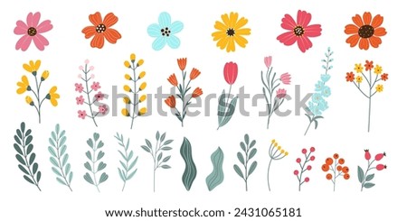 Set isolated hand drawn spring and summer flowers. Blossom heads of flowers, herbs, leaves, branches, berries, tulip. Flat vector illustration on white background. Elements for your design