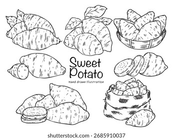 Conjunto de ilustración de dibujo de contorno de batata dibujado a mano aislado 2