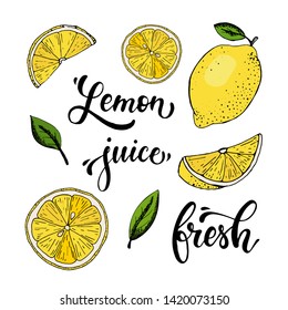 set of isolated hand lettering quotes, sketched lemons and leaves for posters, logos, labels, banners, stickers, product packaging design, etc 