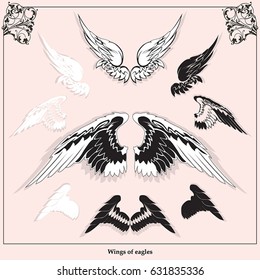 A set of isolated heraldic figures: Wings of eagles. Vector illustration. Medieval style.