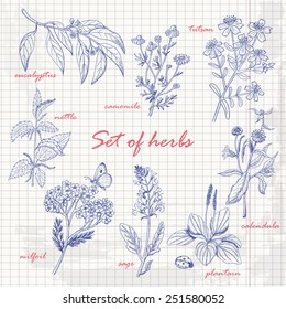 Set isolated herbs in