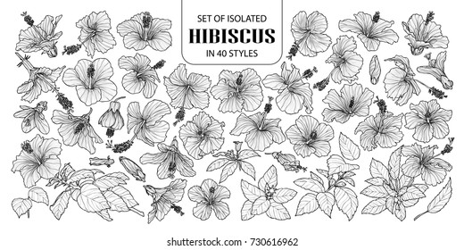 Set of isolated hibiscus in 40 styles. Cute hand drawn vector illustration flowers in white outline and black plane on white background.