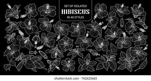 Set of isolated hibiscus in 40 styles. Cute hand drawn flower vector illustration only white outline on black background.