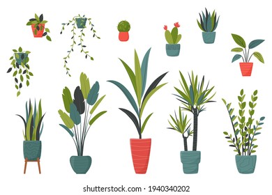 Set of isolated home plants in pots for decor your living room or office. Potted plants bundle, house plants. Vector collection in a flat stile