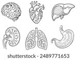 Set of isolated icons with different human internal organs cartoon style
