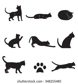 Set of isolated icons on a theme cats