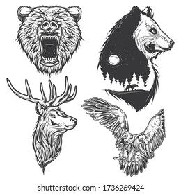 Conjunto de ilustraciones aisladas de osos, ciervos y águilas