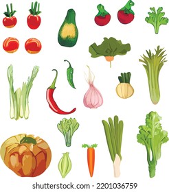 Set of isolated illustrations of vegetables, tomato, greens, onion, garlic