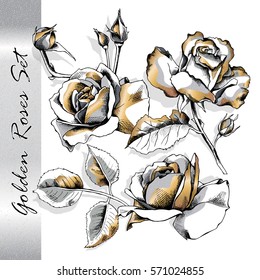 Set with isolated image of a gold roses flowers. Vector illustration.