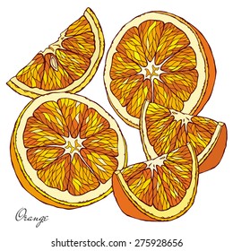 Set isolated image slices of a orange. Vector illustration.