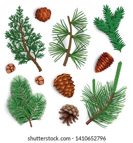 Set with isolated images of pine tree cone fir needle foliage with shadows on blank background vector illustration