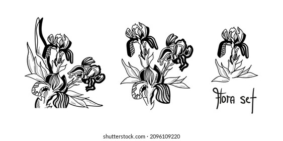 A set of isolated iris flowers are drawn graphically with the inscription Flora set. Vector illustration for a postcard, poster, packaging, cosmetics, interior, textiles.