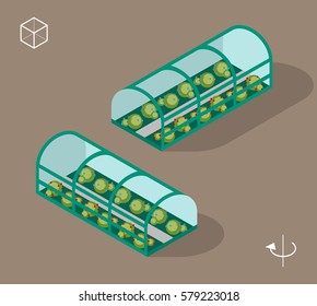 Set of Isolated Isometric Minimal City Elements . Greenhouse with Shadows on Dark Background.
