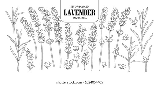 Set of isolated lavender in 20 styles. Cute hand drawn flower vector illustration in black outline and white plane on white background.