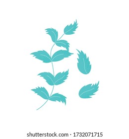 Set of isolated leaves of  chickpea in vector. Green leaf in modern flat style. Background illustration