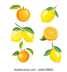 Set einzeln auf Zitronen und Orangen für Poster, Logos, Etiketten, Banner, Aufkleber, Produktverpackungsdesign usw.