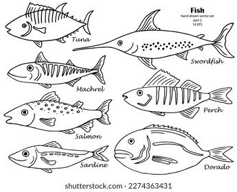 Set of isolated line hand drawn fish with names. Sketch first collection