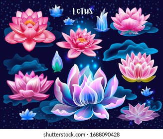 Set of isolated lotuses, Lotuses Flowers with light