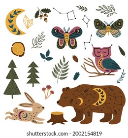 einzelne Zauberpflanze