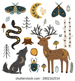 set of isolated magic forest fauna and flora