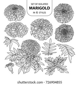 Set of isolated marigold in 6 styles. Cute hand drawn vector illustration in black outline and white plane on white background.