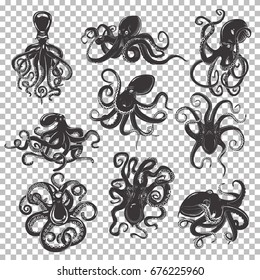 Set of isolated mascot or tattoo of octopus with swirling or wavy tentacles, ocean or sea octopoda, mollusk with suction cups, swimming monster predator, black cartoon mollusc.Underwater life, seafood