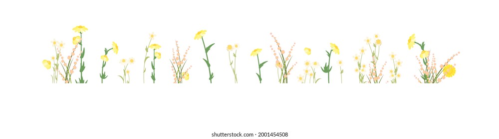 Set isolated. Meadow with wildflowers. Grass close-up. Wild green rural plants. Cartoon style. Flat design. Countryside view. Flowers. Vector illustration. art